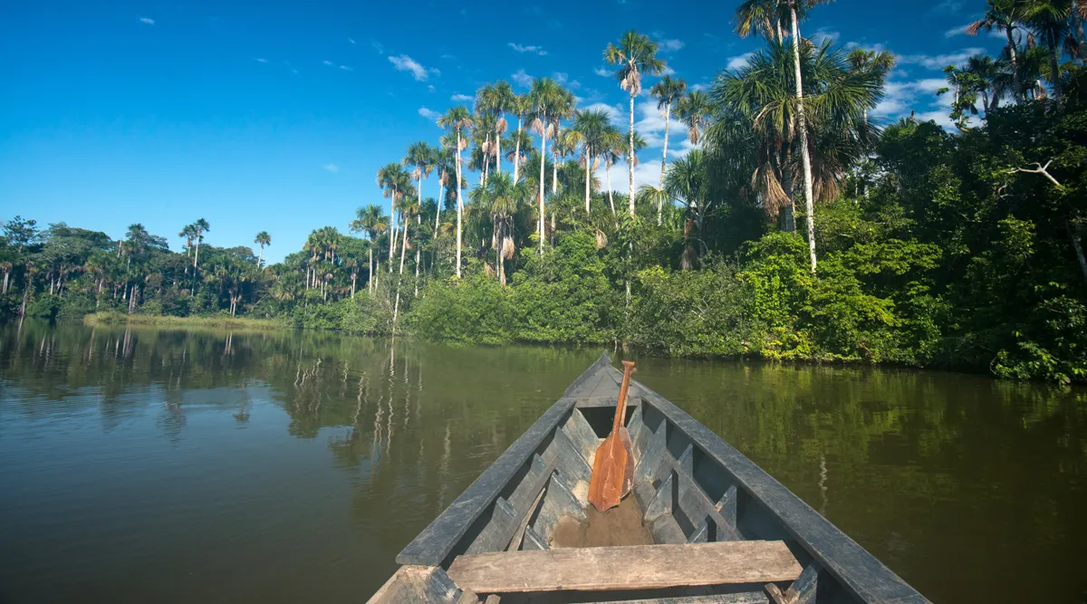 Amazon Escapade