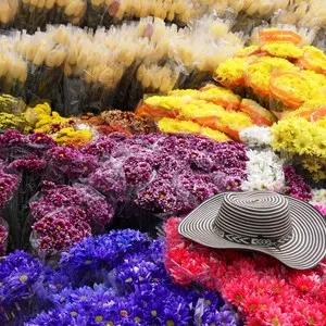 flowers and a hat