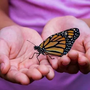 a child with a butterfly