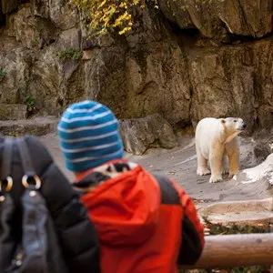 Bronx Zoo