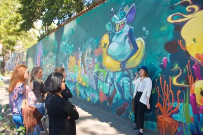 Private Rio Street Art Tour