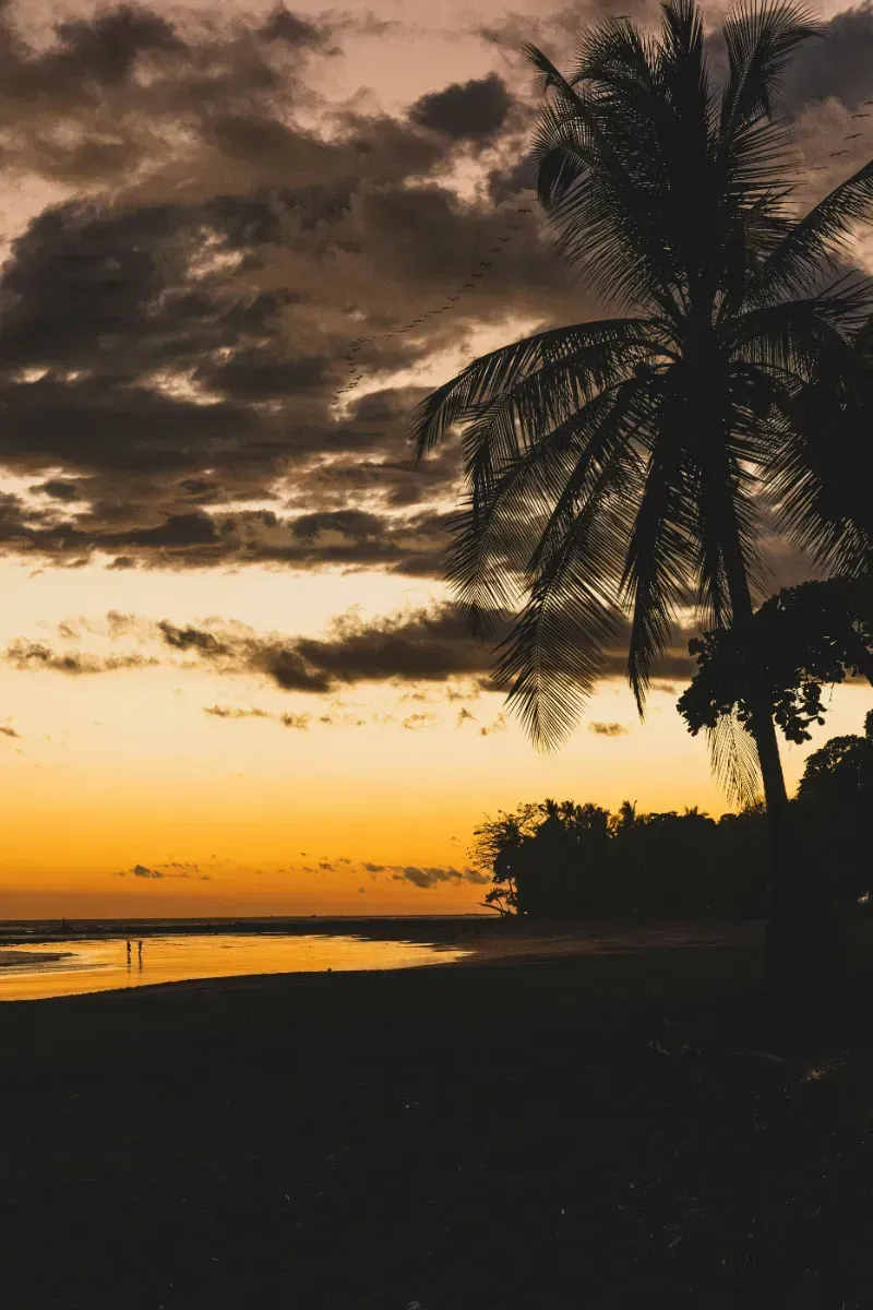 Exotic Costa Rica Explorer