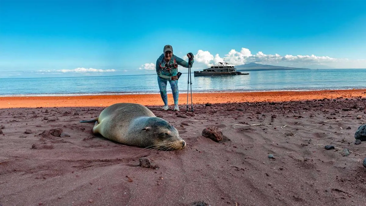 Western Galapagos Wildlife and Volcanic Wonders Cruise
