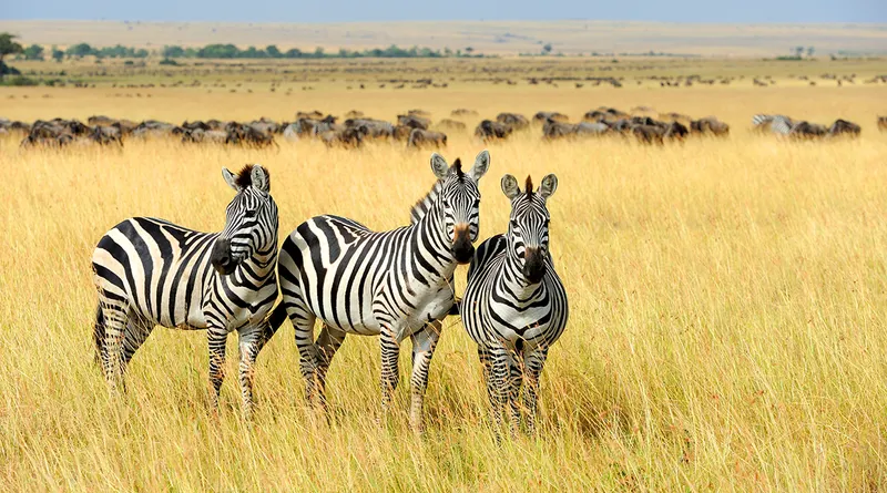 Kenya