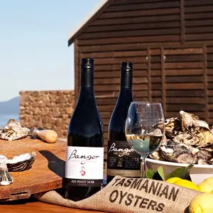 Southern Wine Trail