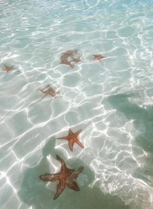 Grand Cayman Island photo 12