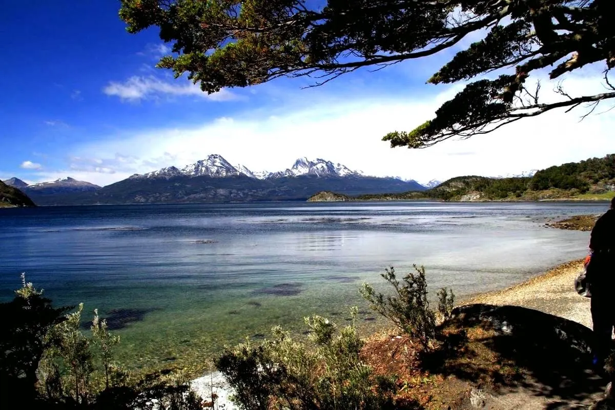 Patagonia Discovery through Wildlife Vineyards and Glaciers