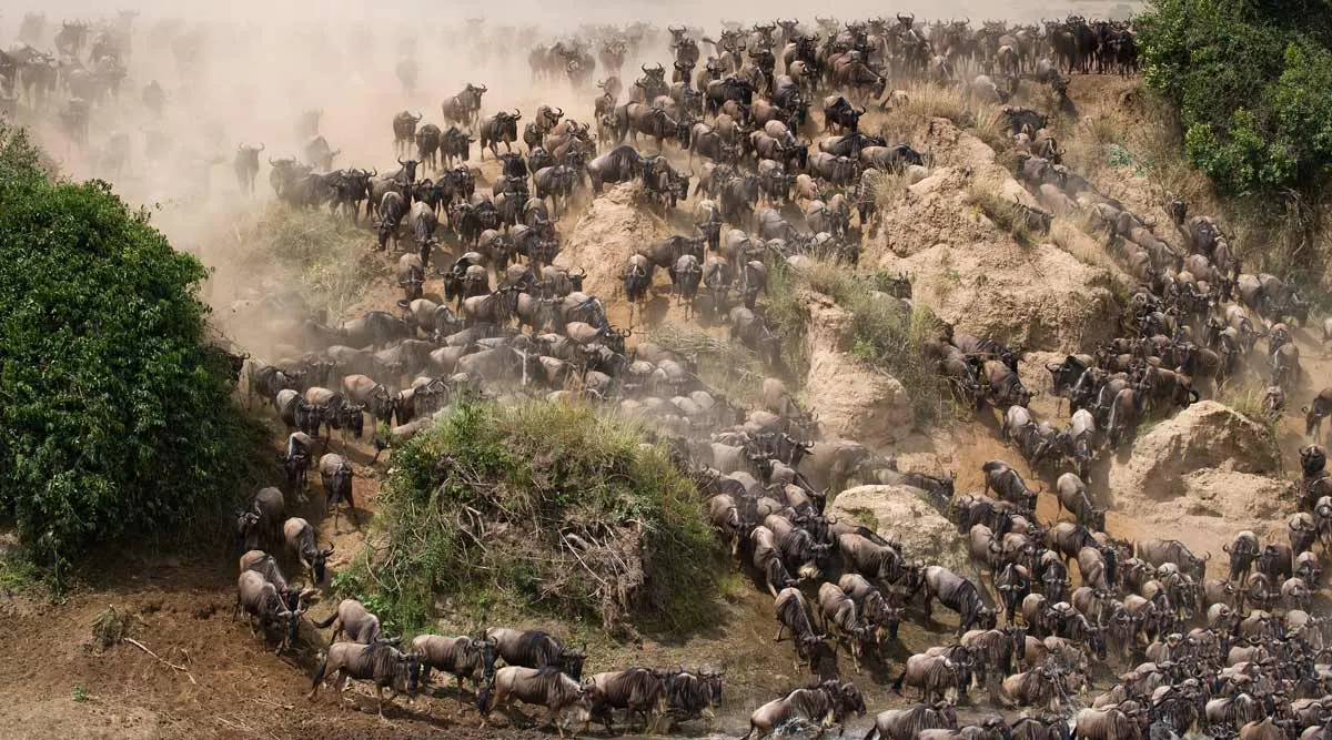 Kilimanjaro National Park