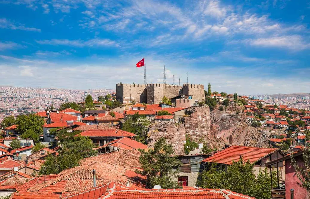 Classics of Turkey with Options