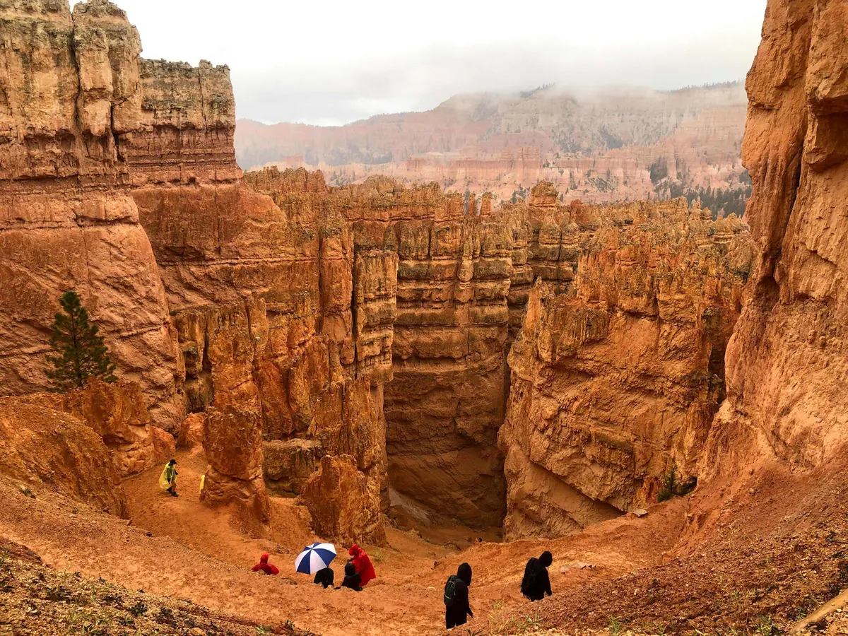 National Parks and Rockies To The Red Rocks Great Rail Journey