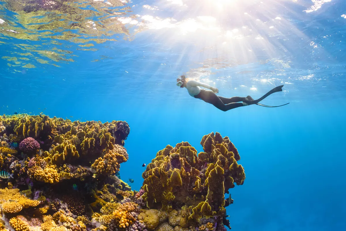 Australia's Tropical Trio Private Journey