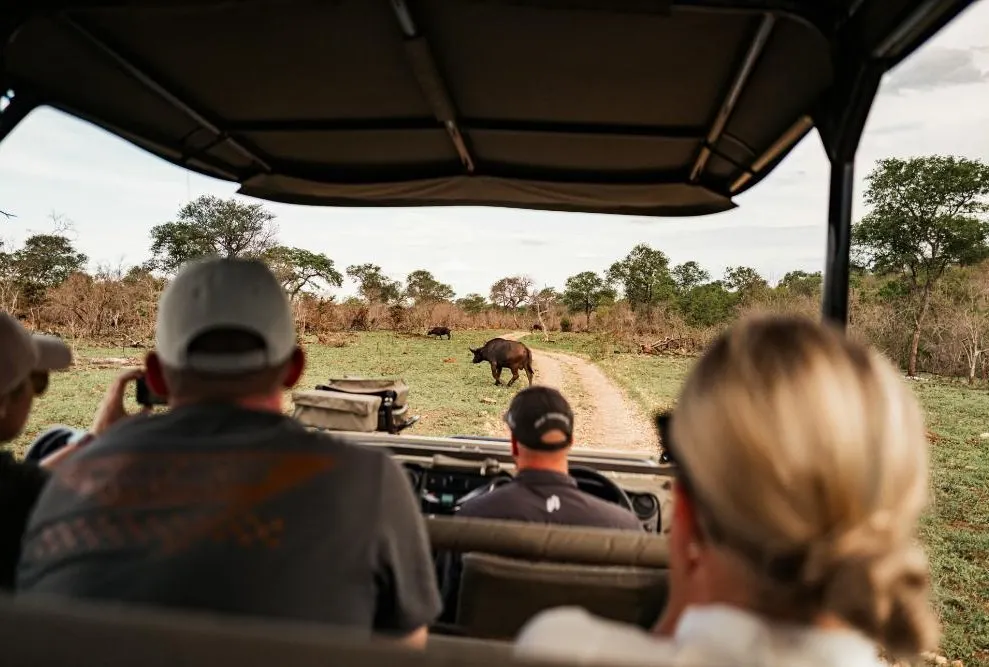 Governors Sky Safari 