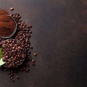 ZidongWoxi Coffee / 资董窝玺coffee