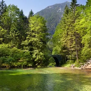 Kamniška Bistrica Valley