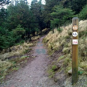 Canon Sheehan Loop