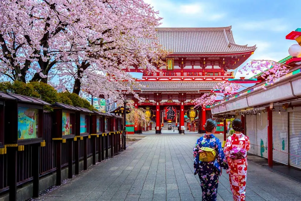 Tokyo Discovery