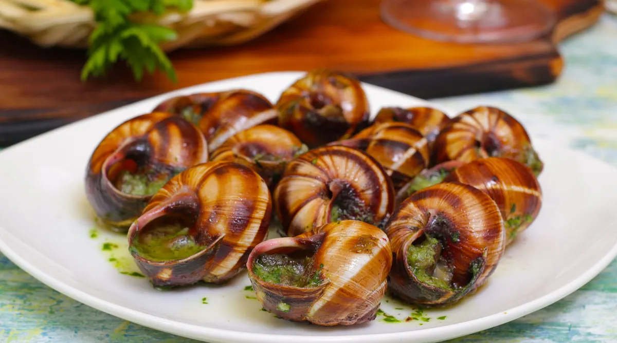 Bordeaux and Basque Country Culinary Journey