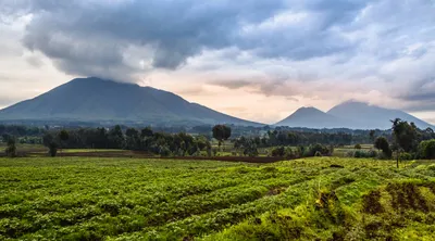 Akagera National Park