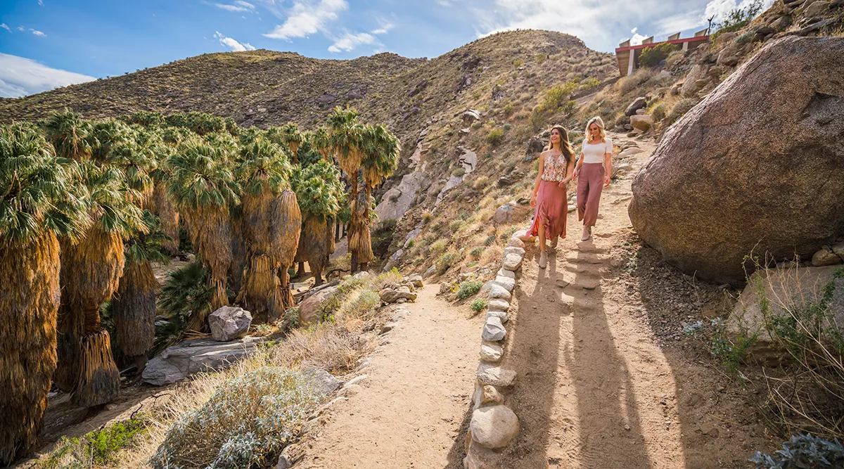 Coastal Palms to Desert Springs