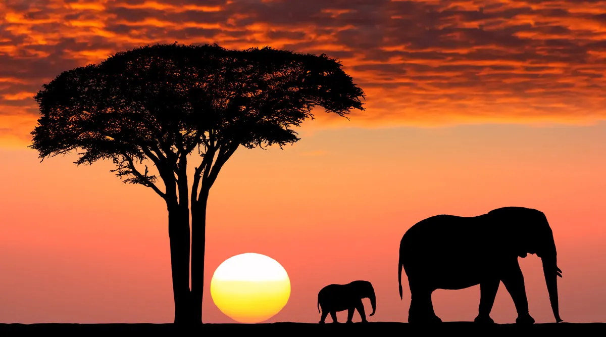 Kilimanjaro National Park