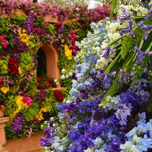 RHS Chelsea Flower Show