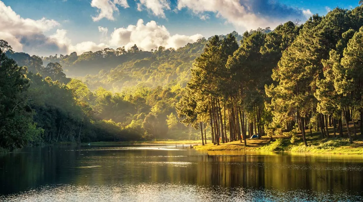 Northern Thailand Adventure