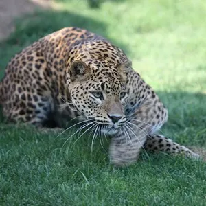 Bioparc