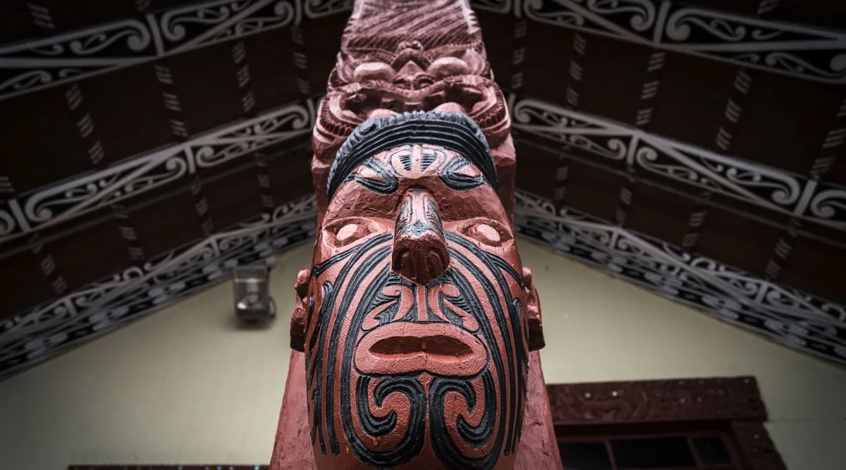 New Zealand Explorer