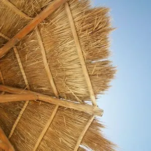 palapa on beach