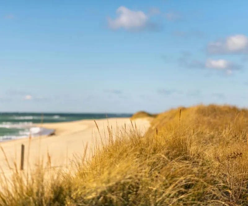 New England Fall Foliage and Coastal Getaway Self Drive Explorer