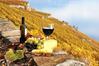 Argentina and Chile Wine Country ExplorerImage