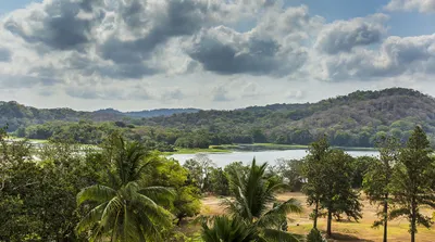 Gamboa