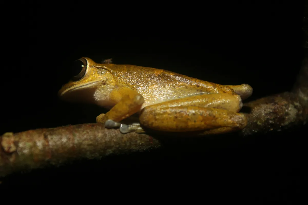 Costa Rica Coast to Cloud Forest Adventure