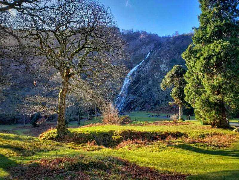 Private Journey to the Gardens of Ireland in Autumn