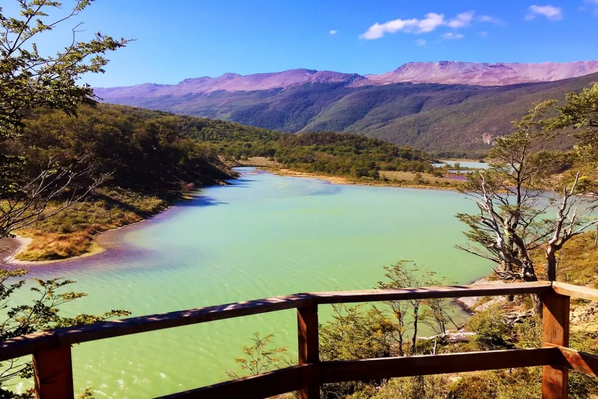 Patagonia Discovery through Wildlife Vineyards and Glaciers