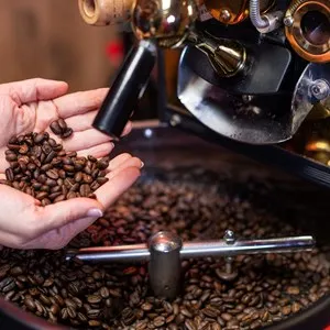 Madness Specialty Coffee