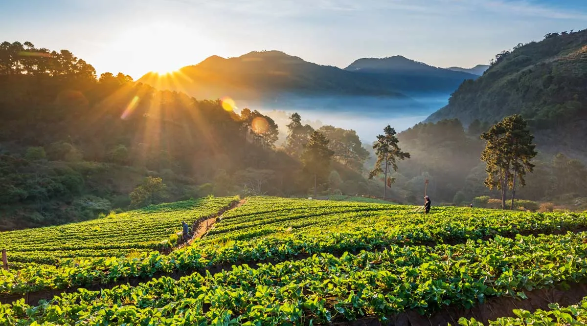 Northern Thailand Adventure