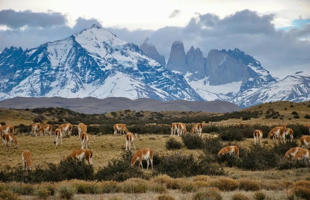 Patagonia Adventure A Luxury Journey Through Chile and Argentina