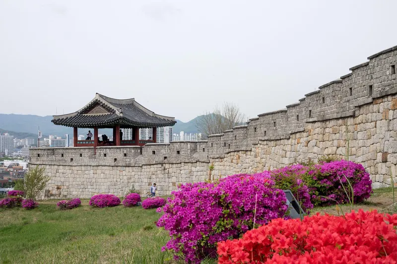Suwon
