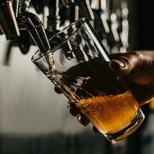 Carlsberg Brewery Tours