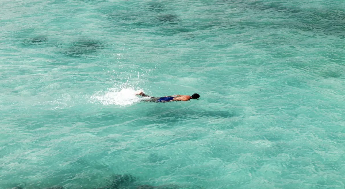 Santa Cruz Escapade