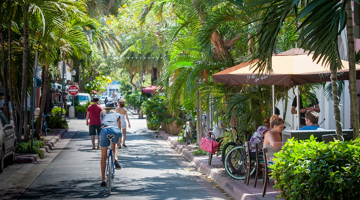 South Florida Self Drive Explorer