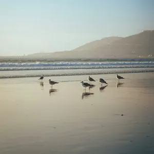 Best Time to Visit Agadir