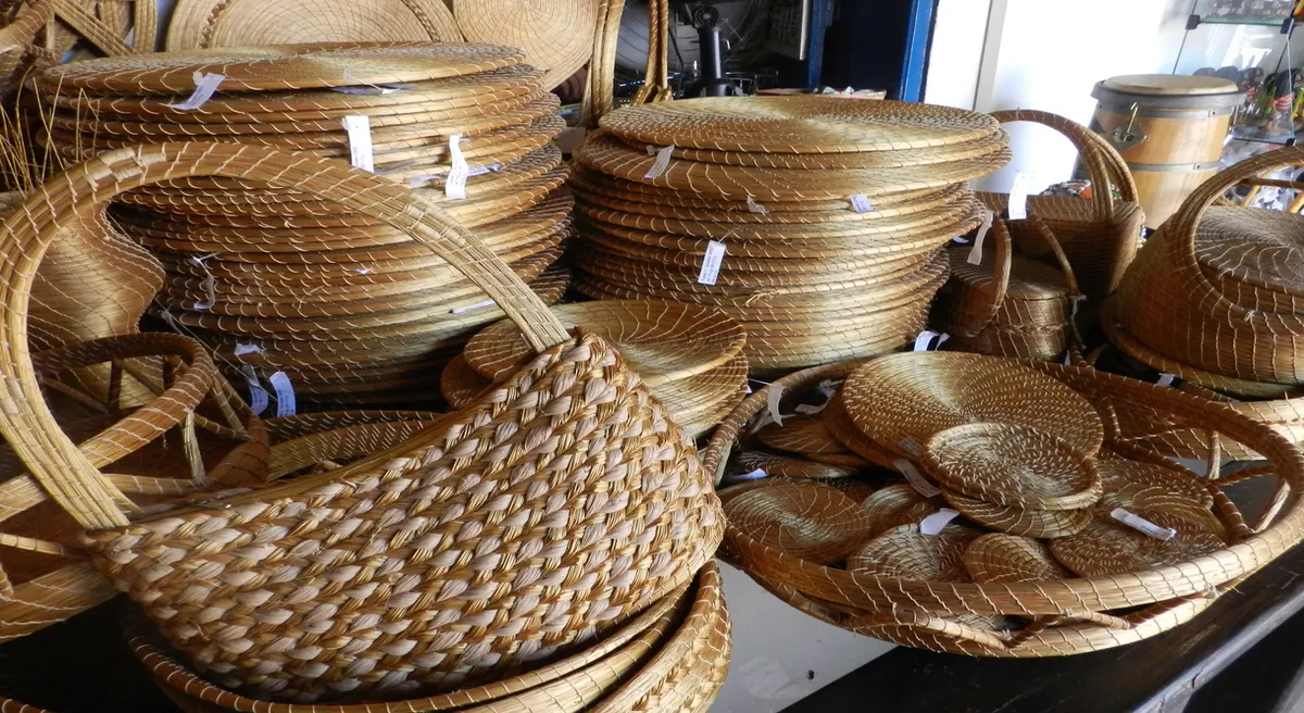 Private Cultural Journey through Brazil
