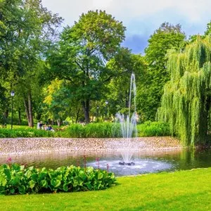 Bernardine Garden