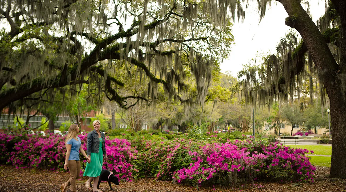 Southern Charm