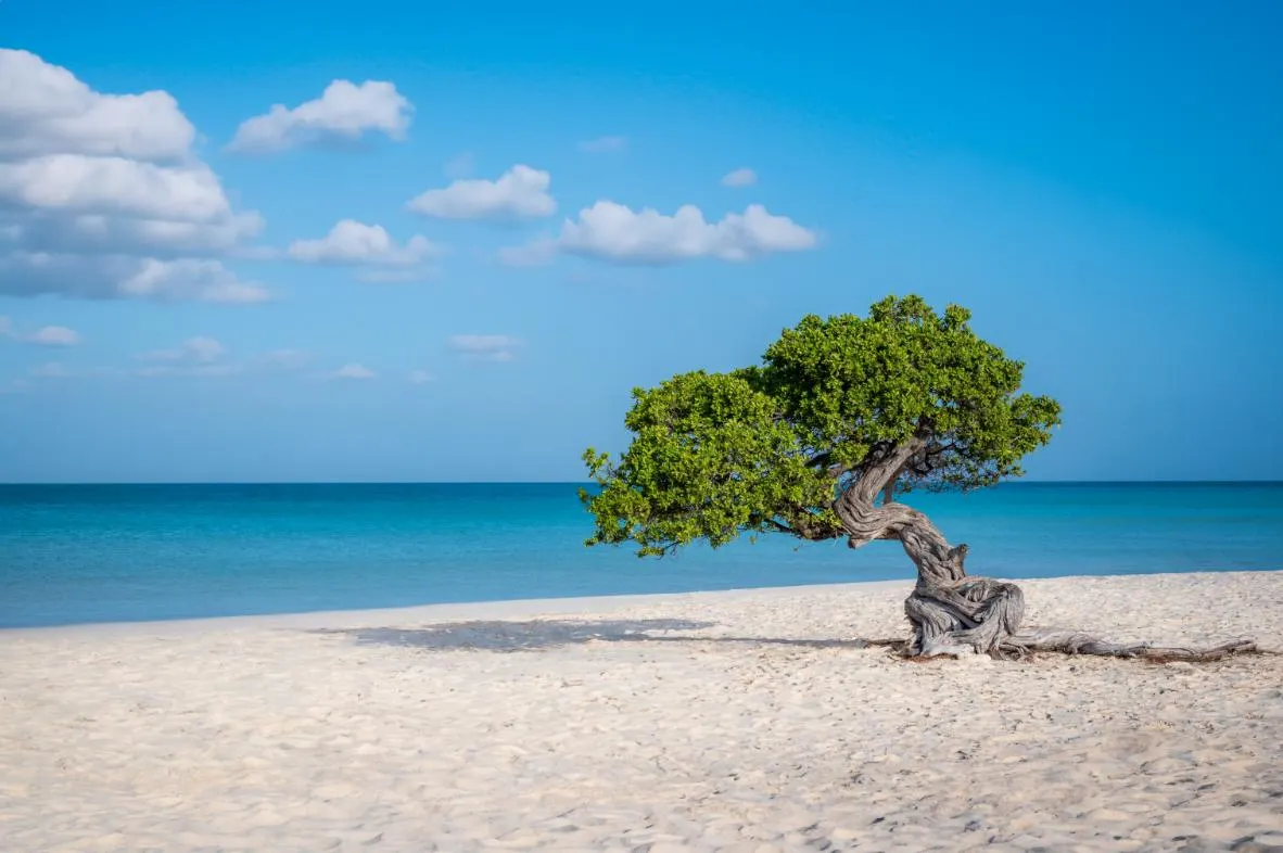 Romantic Aruba Escapade