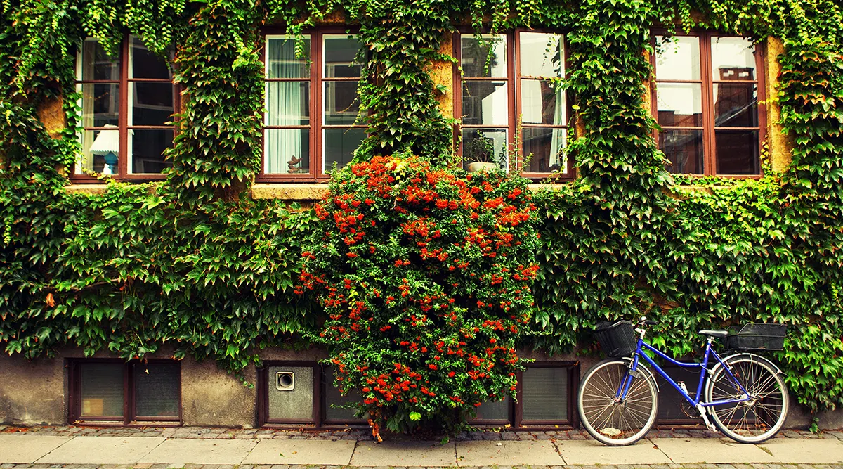 Jewels of Scandinavia by Rail