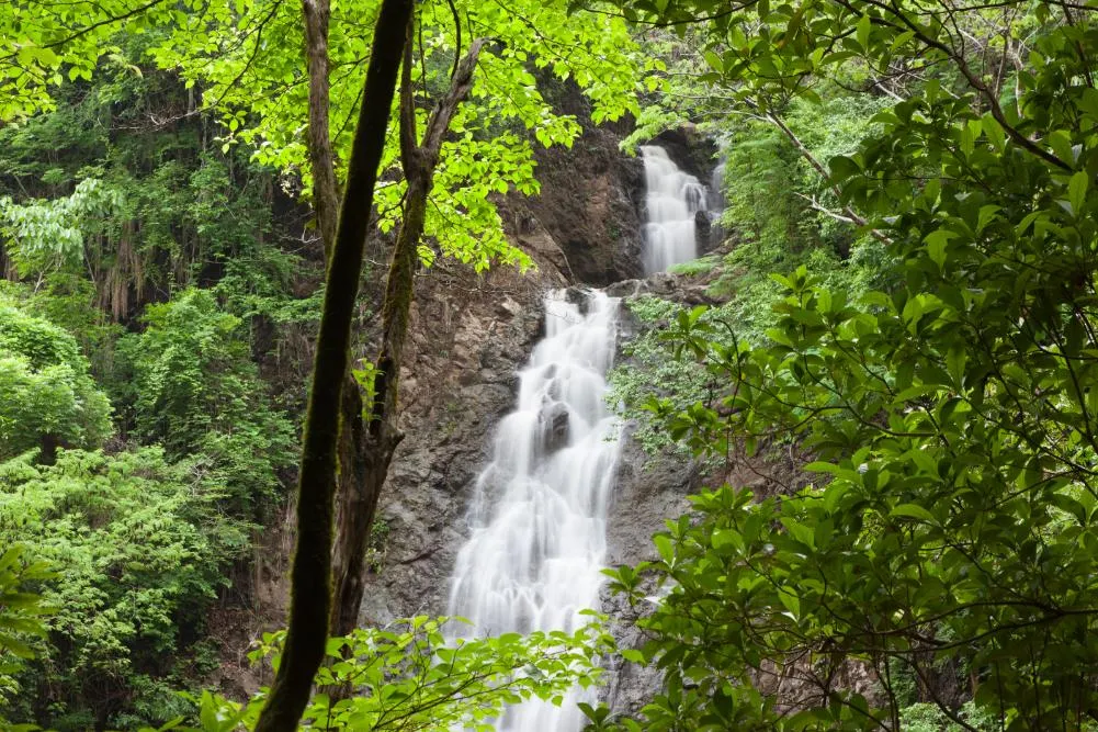 Costa Rica Self-Drive: From the Caribbean to the Pacific 