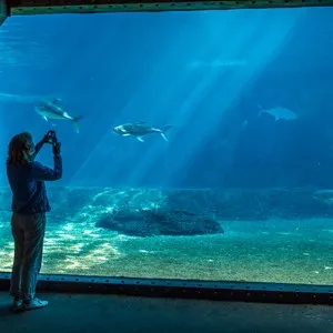 The Cargo Hold Restaurant